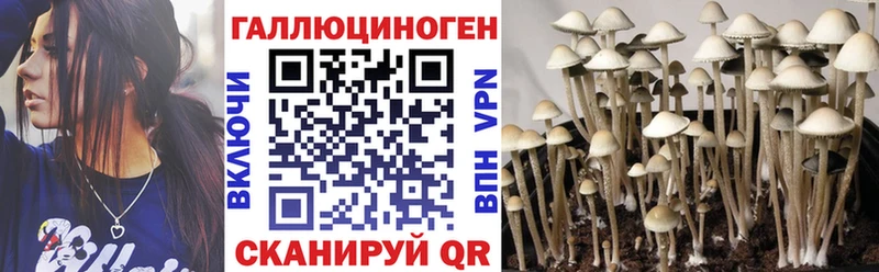 Псилоцибиновые грибы мухоморы  Дятьково 